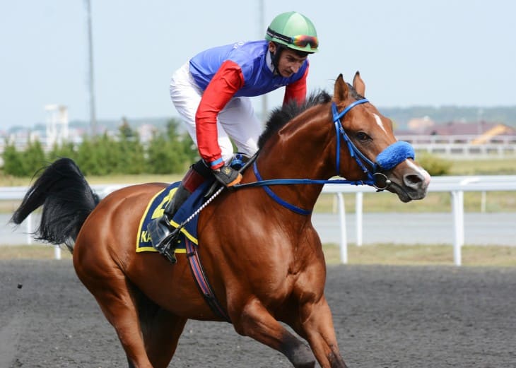 Thrills of the Track: Experiencing the Grand National Atmosphere