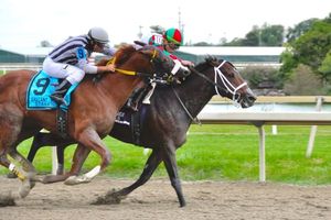 Legends of the Field: Famous Grand National Horses