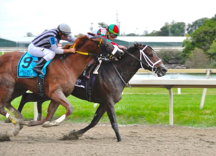 Legends of the Field: Famous Grand National Horses