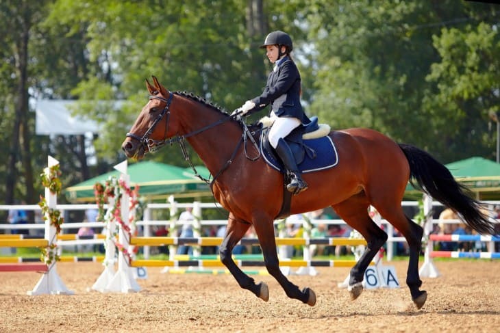 Female Jockey