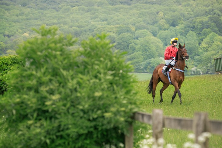 Festival Trials Day Lucky 15: Best Bets from Cheltenham