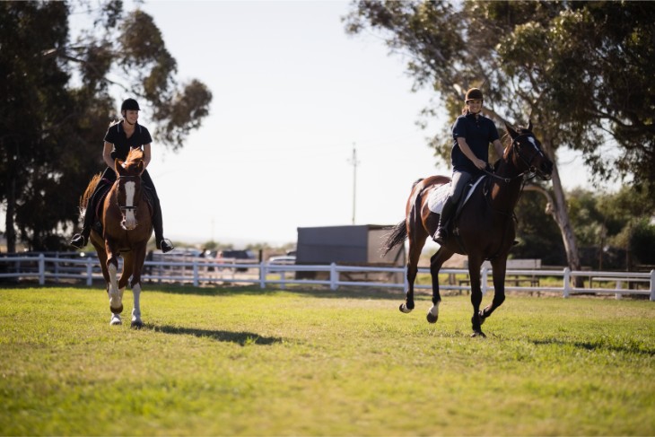 Trainer Focus: Ben Pauling: Naunton Yard on the Rise