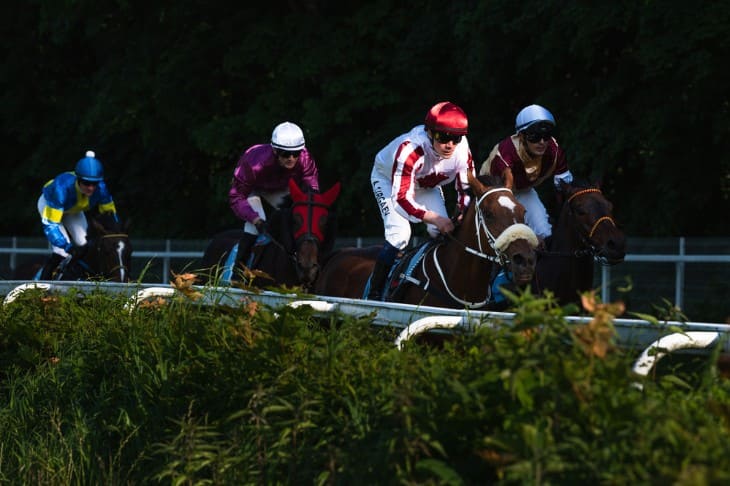 Galloping Horses Racing At Top Speed