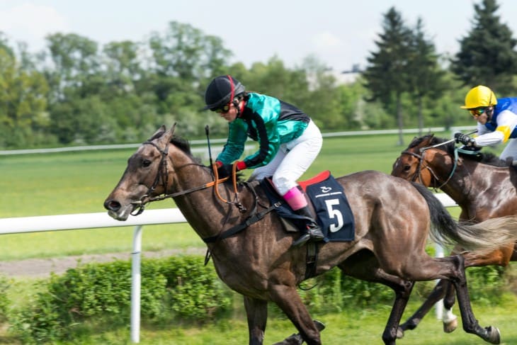 Galopin Des Champs’s Performance in Recent Events