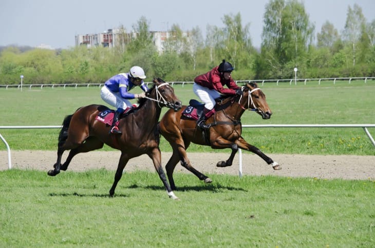 Genetics and Training in Horse Racing