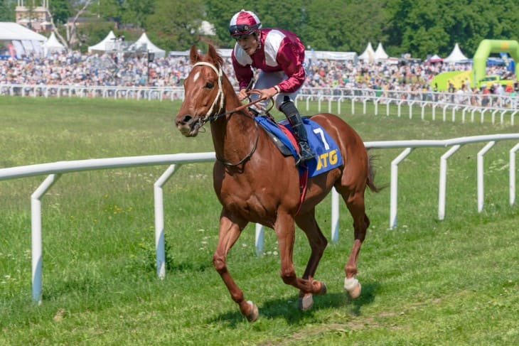 Geographical Distribution And Features Of Irish Racecourses