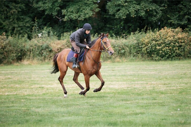 Glorious Goodwood 2024: Day 2 Handicap