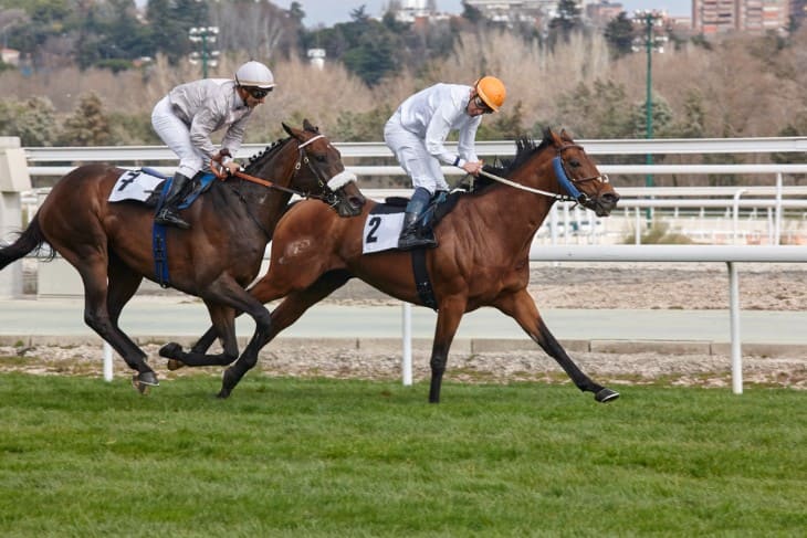 Fashion at the Finish Line: Grand National Style