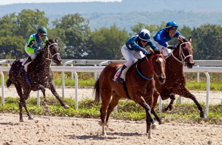 Champions of the Chase: Grand National Winners Unveiled