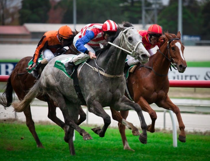 Historical Highs: Analyzing when was horse racing most popular 