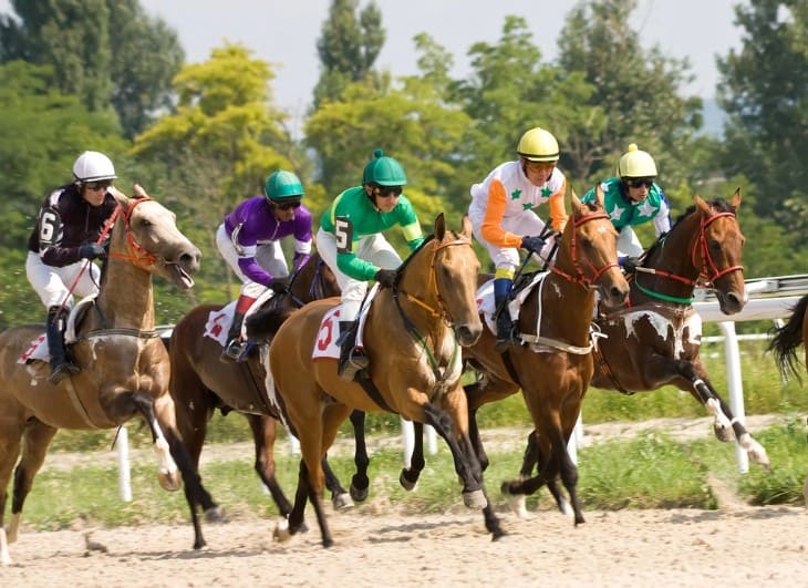 Breeding for Speed: The Science Behind Racing Horses