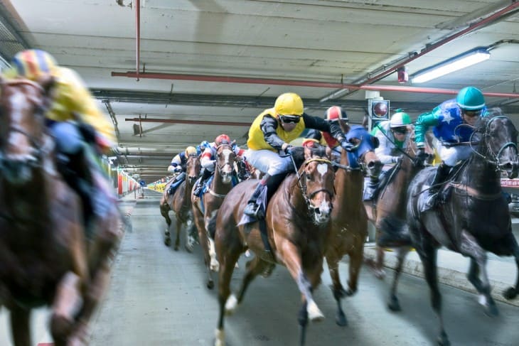 Horse jumps over a hurdle