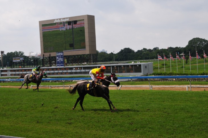 Horse race start