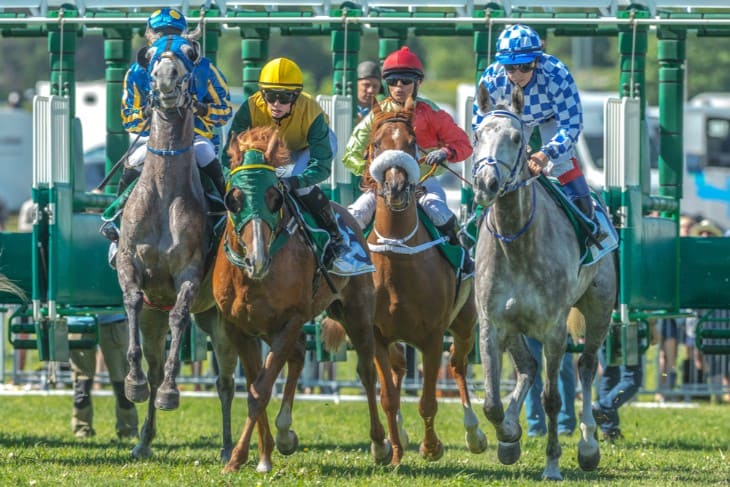 Horse Racing and Social Media: The New Betting Frontier