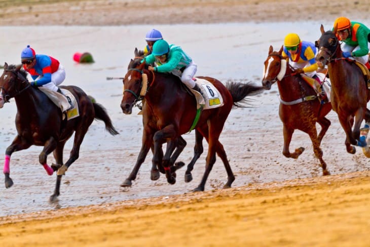 Rise of Virtual Horse Racing