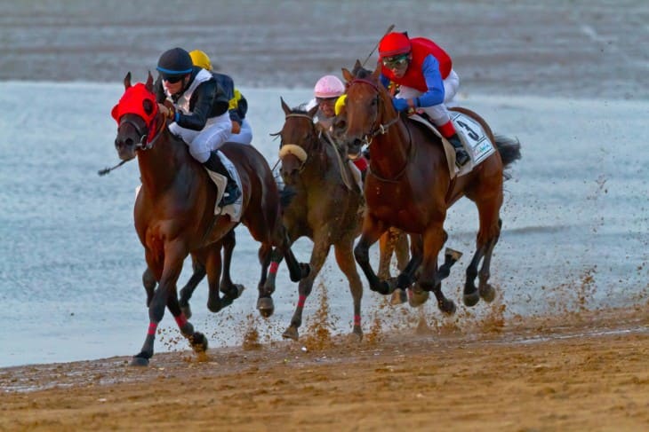 Horse Racing from the spectator's point of view