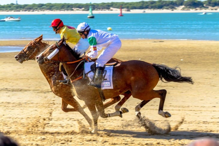 Horse Racing infront of a Tote board