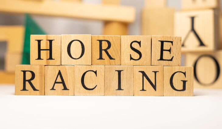 Horse Racing Jargon Explained