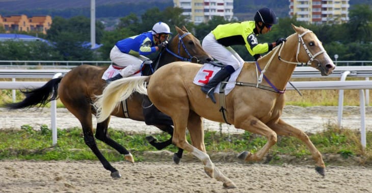 Preparing a horse for a race