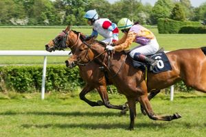 Preparing for Glory: Horse Training Secrets for the Grand National