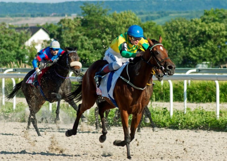 Horserace with crowd