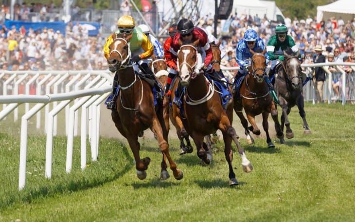 Horseracing close competitive race