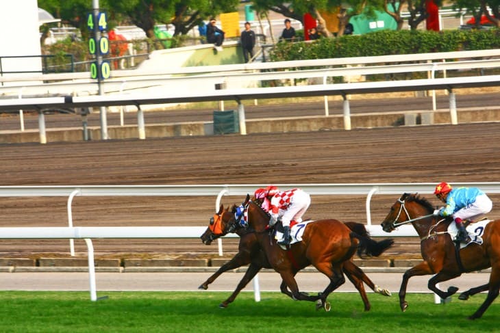 Horses Racing, Track, and Jockeys