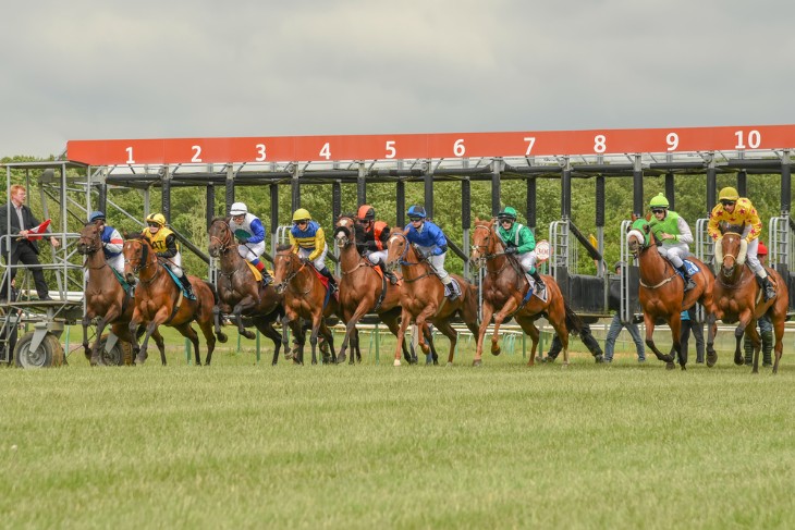 How Far is a Length in Horse Racing?