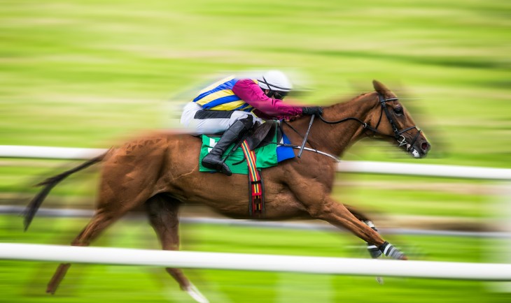 How Fast is a Racing Horse?