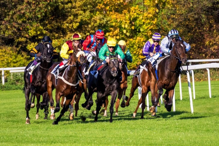 Maximising Returns: How Key Box Bets Enhance Betting Strategies in Horse Racing