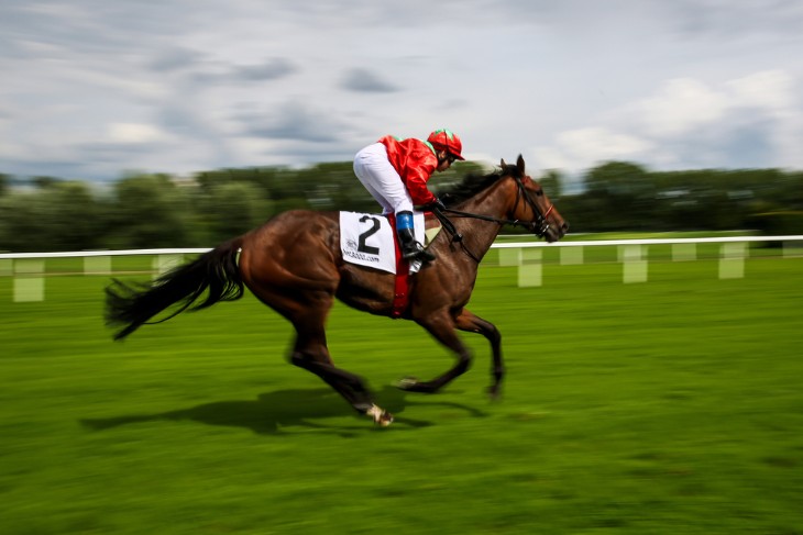 How Long Does Horse Racing Last?