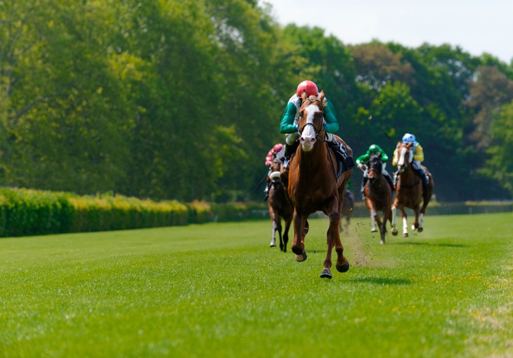 How often does the Favourite Win in Horse Racing?