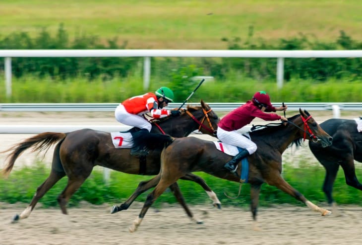  How RPR Affects Horse Racing Strategies and Decisions