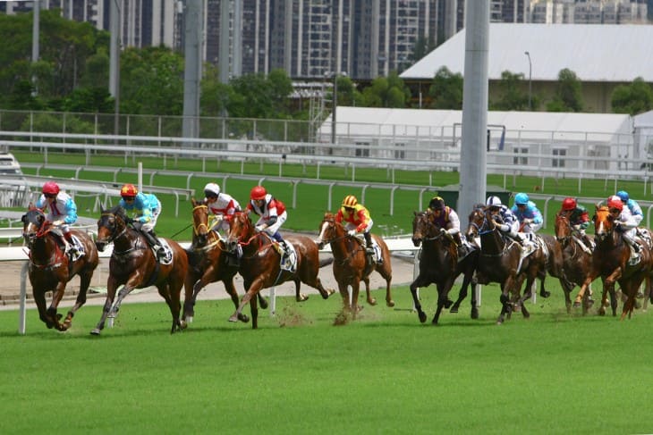 Illustrated Horse Race and A Crowd