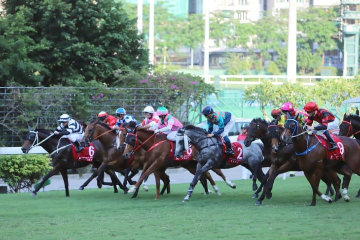 Illustration of Horses Racing and A Large Crowd