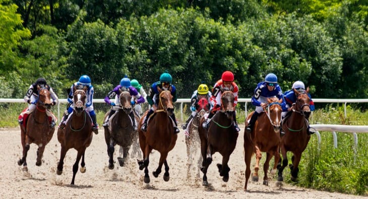 Innovations in Racehorse Care and Training