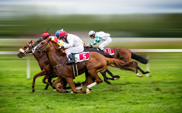 An Insider’s View of the Paddock in Horse Racing