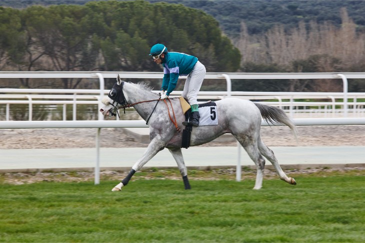 Jayarebe – Qatar Prix Dollar (Group 2)