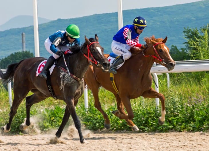 Jockey and Racehorse in motion