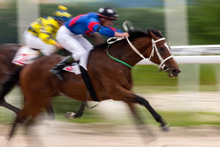 Jockey jumps over a hurdle - Jumps Racing