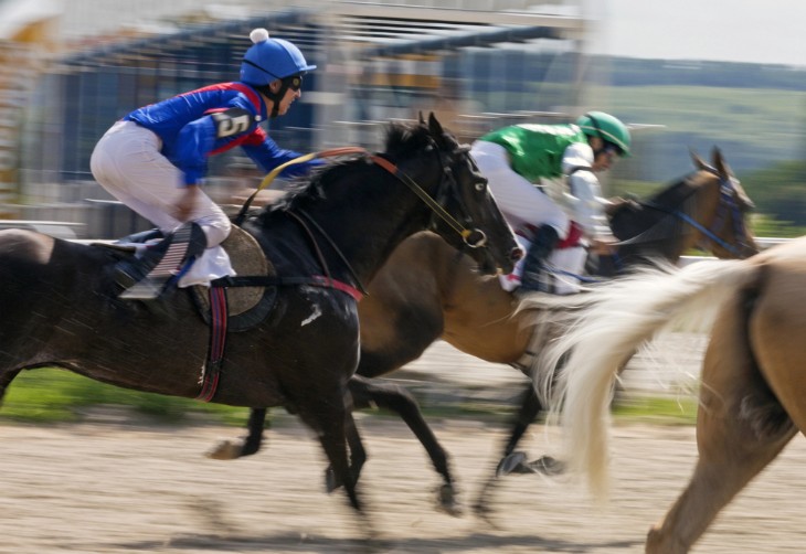 A horse jumping during a jumps racing