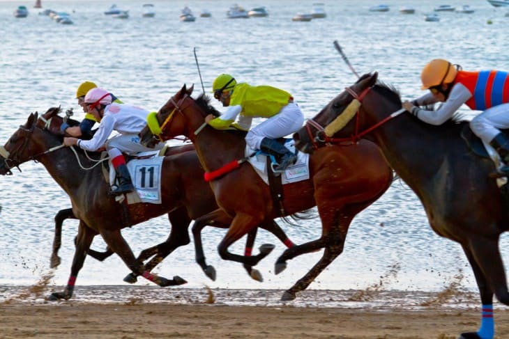 Key Advantages of Lucky 31 Bet in Horse Racing