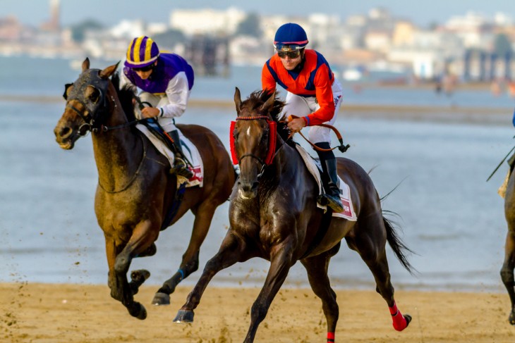 Key Factors Influencing Tricast Betting Outcomes in Horse Racing