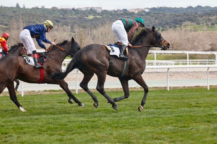 King George V Stakes, Handicap - 1 Mile and 4 Furlongs 