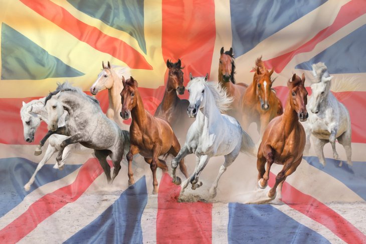 Legendary Horses in UK Racing History