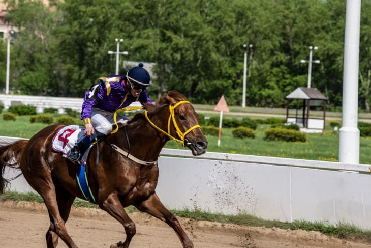 Legendary Rivalries: Horses And Jockeys Which Made History