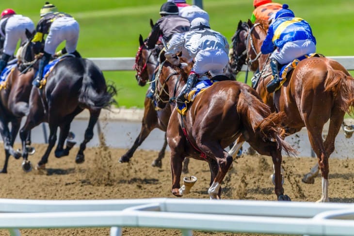 Live Betting at the Racecourse