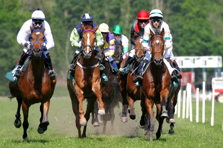 Live In-Play Betting During the Grand National