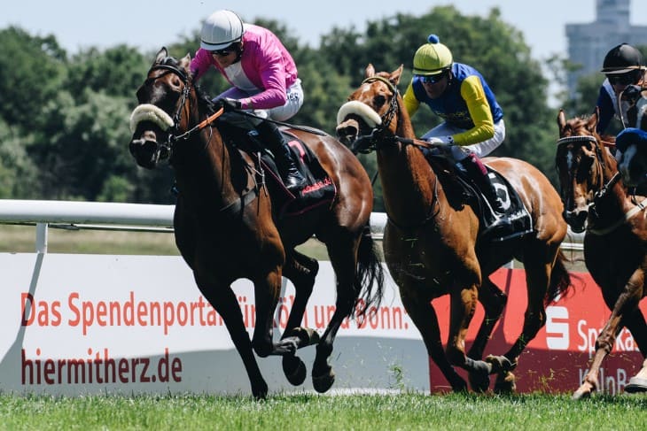 Maiden Handicap Races: Betting on Horses Seeking Their First Win 