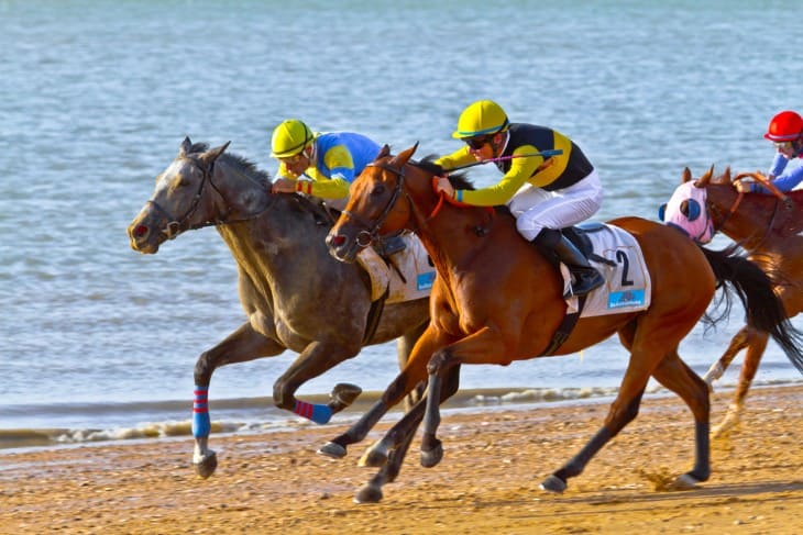 Turning Odds in Your Favour: Mastering Back-to-Lay Betting in Horse Racing